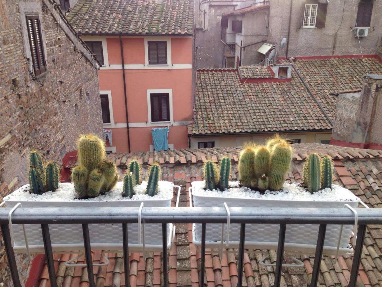 Bbhomerome - Campo Dei Fiori Balcony View Penthouse * Rom